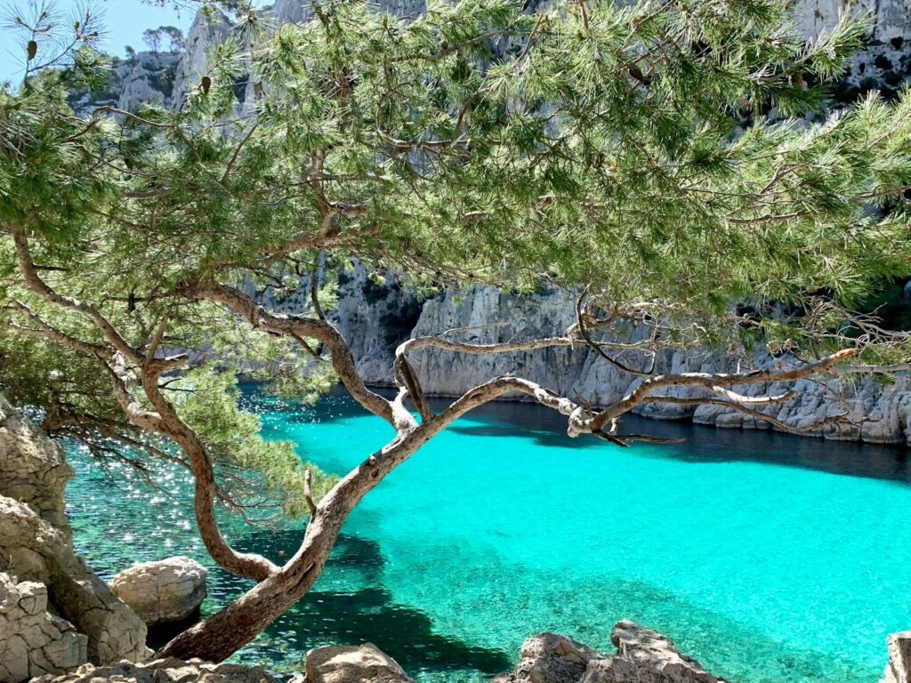 Čudovita modrina zaliva Calanques pri Marseillu, obdana s skalami in sredozemskim zelenjem.